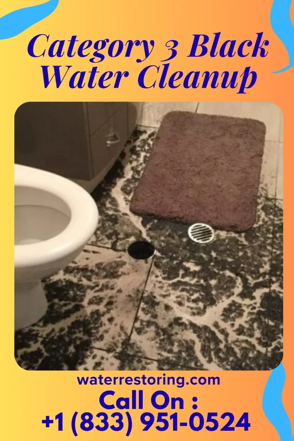 Category 3 Black Water Cleanup in Buffalo Gap, TX