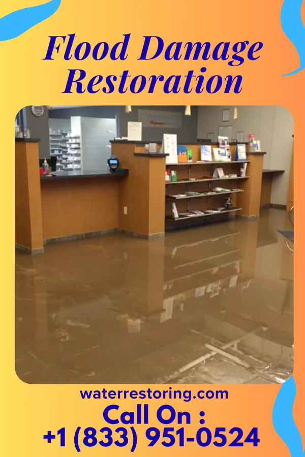 Flood Damage Restoration in Buffalo Gap, TX