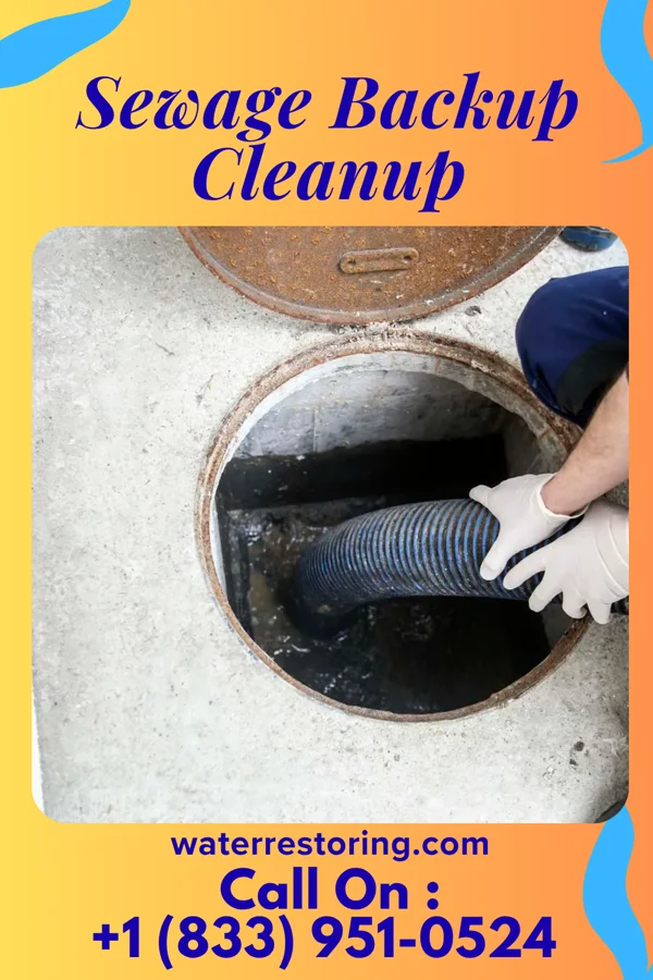 Sewage Backup Cleanup in Buffalo Gap, TX